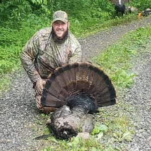 Meet your Posher, Dakota